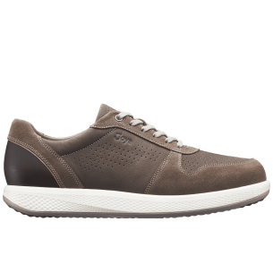 Joya - 244sne - Sven brown - 1