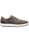 Joya - 244sne - Sven brown - 1