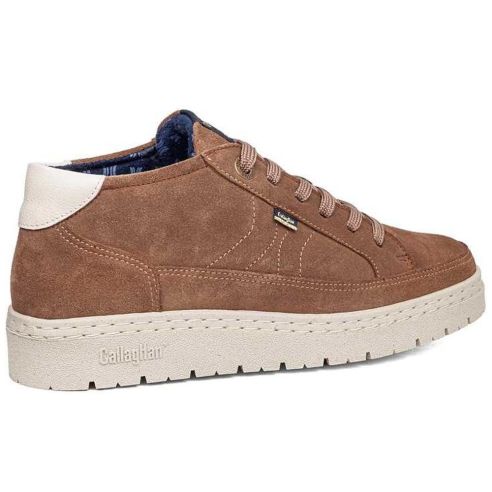 Callaghan - 55816-Petete-Sra.-Sun-Trufa - 55816 Petete Sra. Sun Trufa - 3