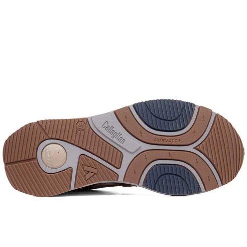Callaghan - 68403-Mare-X-Sra-Elys-Oro - 68403 Mare X Sra Elys Oro - 4