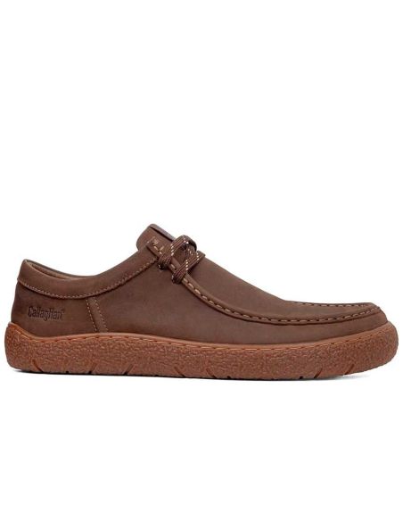 Callaghan - 67951-Terra-B-Ibon-Choco - 67951 Terra B Ibon Choco - 1