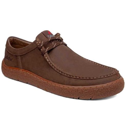 Callaghan - 67951-Terra-B-Ibon-Choco - 67951 Terra B Ibon Choco - 2