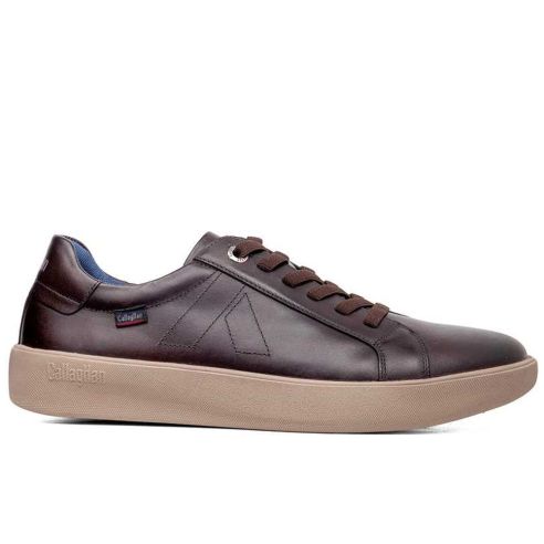 Callaghan - 65700-Phoenix-Vitelo-Testa - 65700 Phoenix Vitelo Testa - 1