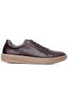 Callaghan - 65700-Phoenix-Vitelo-Testa - 65700 Phoenix Vitelo Testa - 1