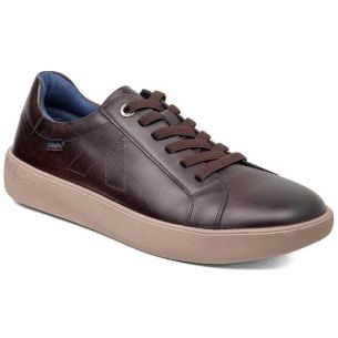 Callaghan - 65700-Phoenix-Vitelo-Testa - 65700 Phoenix Vitelo Testa - 1 2