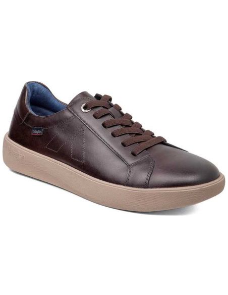 Callaghan - 65700-Phoenix-Vitelo-Testa - 65700 Phoenix Vitelo Testa - 2