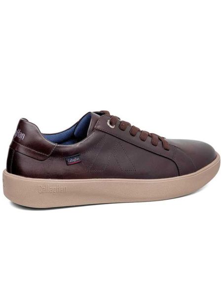 Callaghan - 65700-Phoenix-Vitelo-Testa - 65700 Phoenix Vitelo Testa - 3