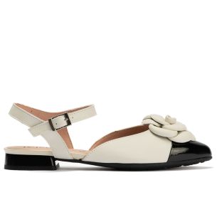 Pitillos - 11172 - NEGRO - 11172 - NEGRO - Bailarina con tacón bajo