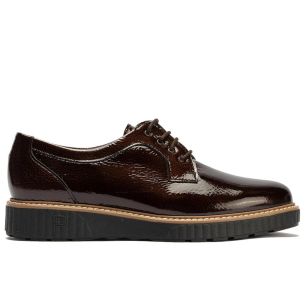 Pitillos - 11551 - MARRON - 11551 - MARRON - Blucher en Charol Marrón - 1